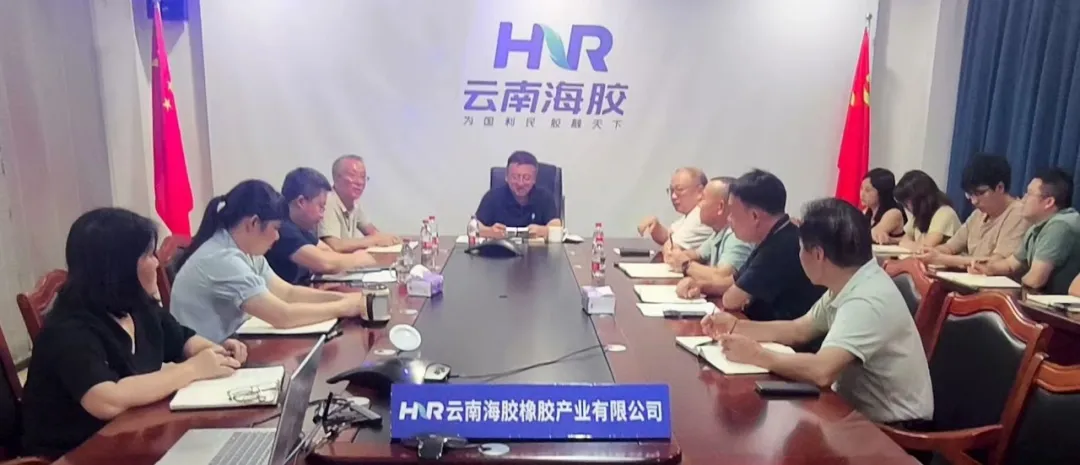 楊宇赴云南海膠、云南合盛調(diào)研